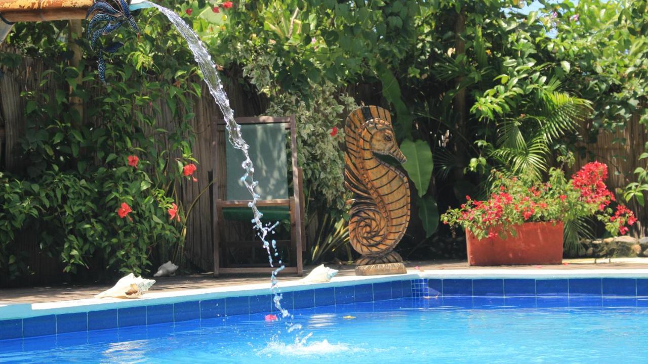 La Natura Hostel & Pool Palomino Exteriör bild
