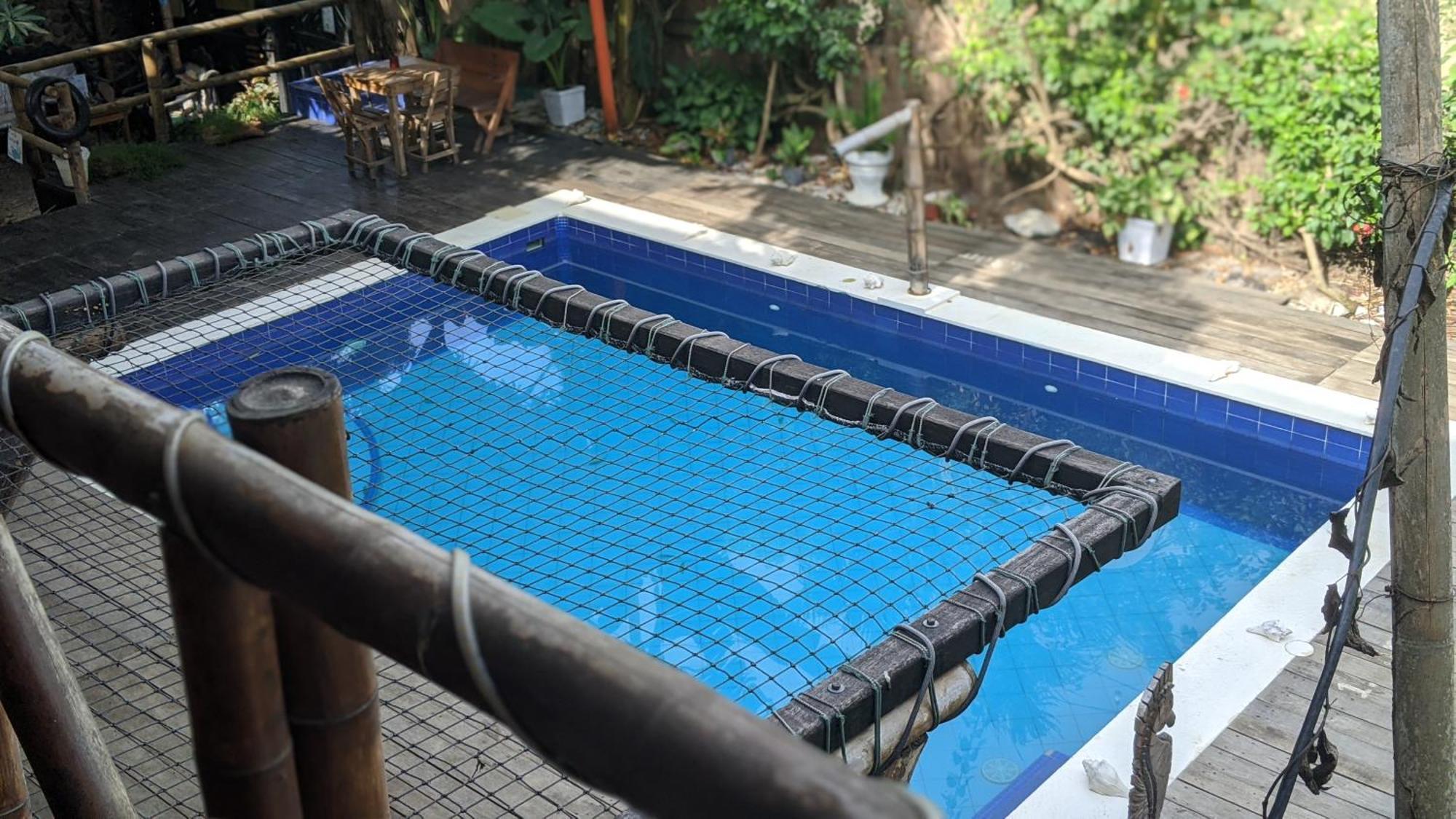 La Natura Hostel & Pool Palomino Exteriör bild
