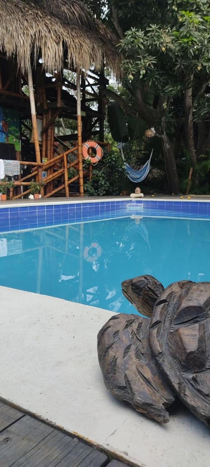 La Natura Hostel & Pool Palomino Exteriör bild