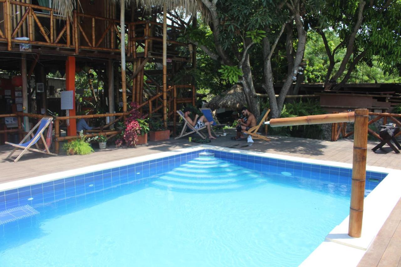 La Natura Hostel & Pool Palomino Exteriör bild